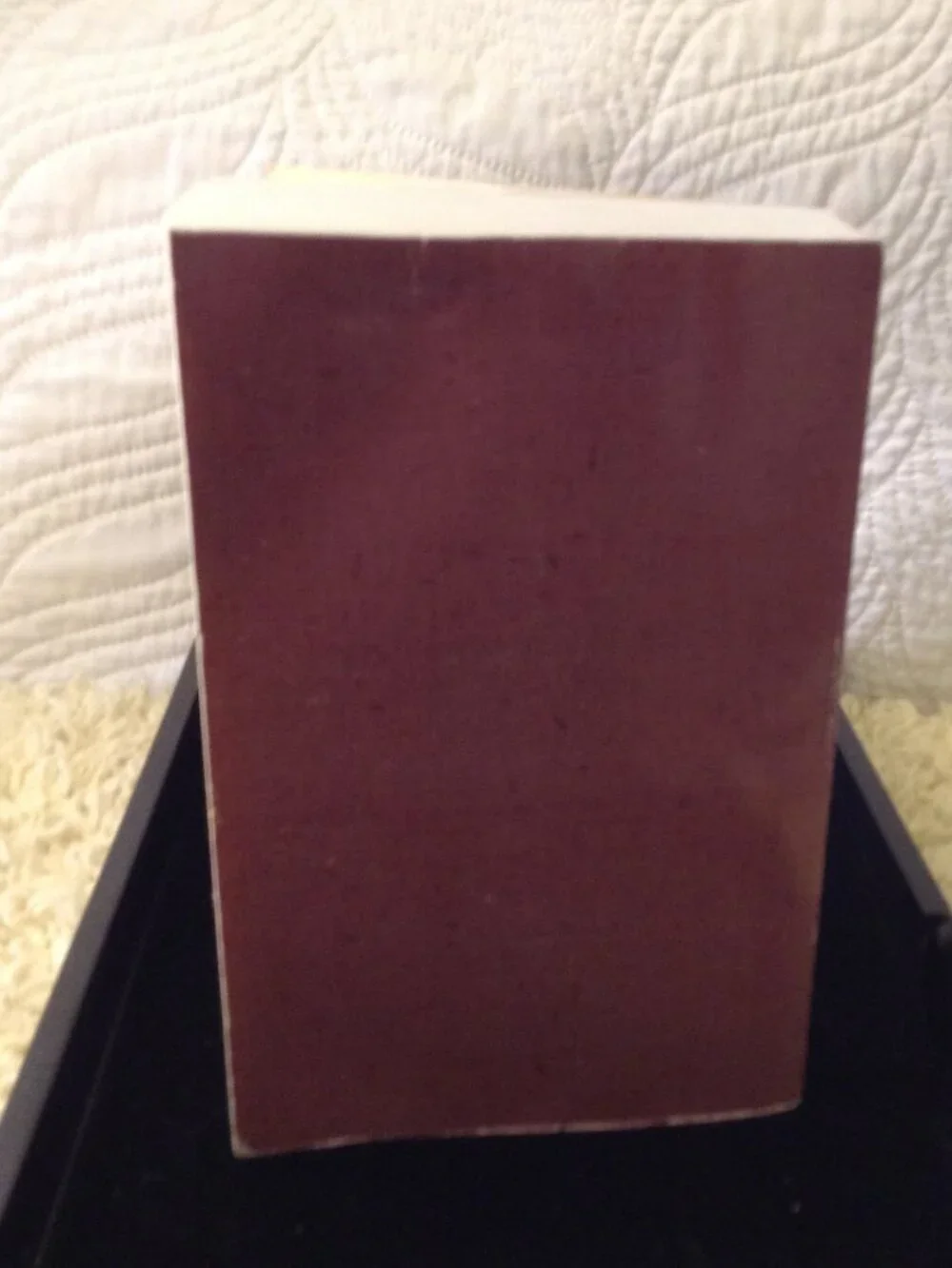 VTG 1996 Version of the Fannie Farmer 1896 Cookbook, Collectible Nostalgic Cabin